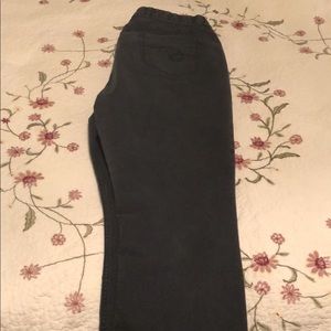 Designer Plus Size Pants